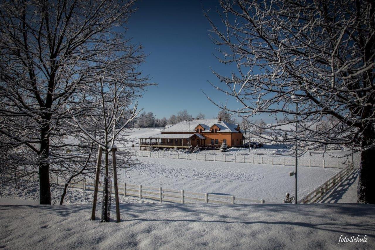 Hotel Horse Riding - Jezdecky Areal Trsice Exterior photo
