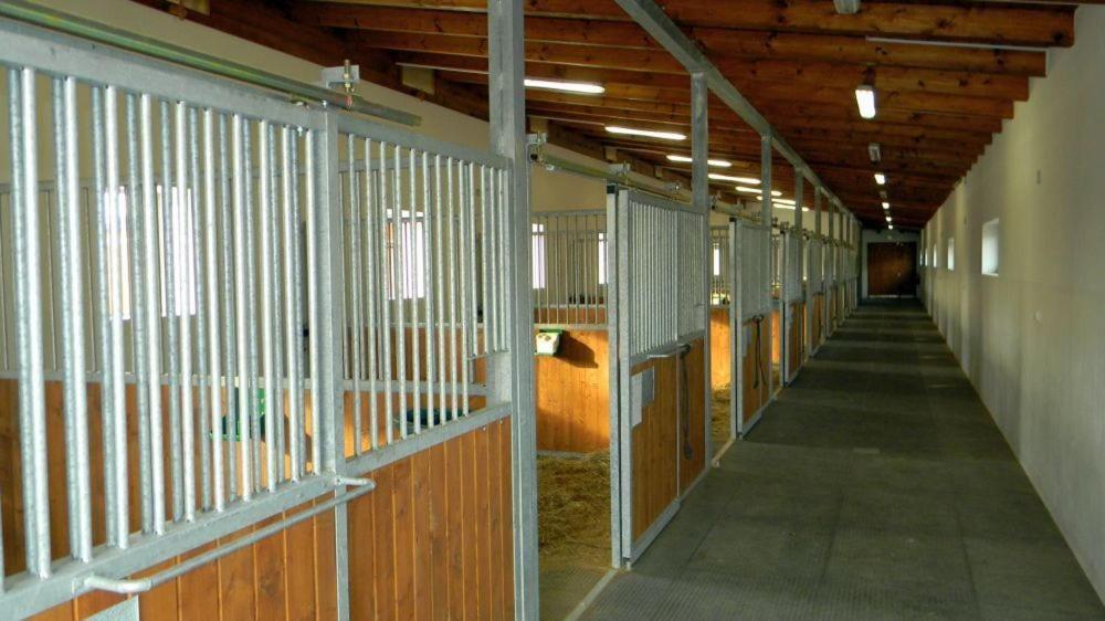 Hotel Horse Riding - Jezdecky Areal Trsice Exterior photo