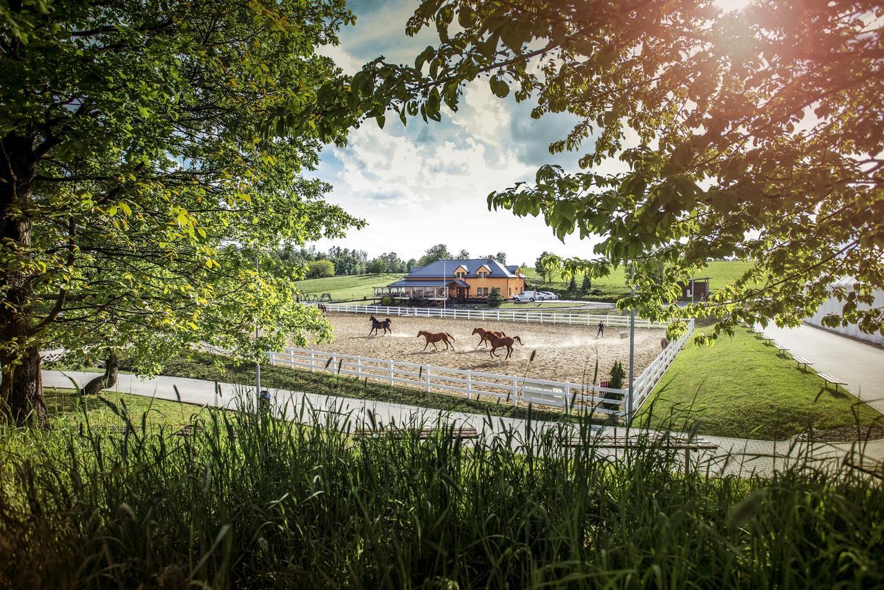 Hotel Horse Riding - Jezdecky Areal Trsice Exterior photo