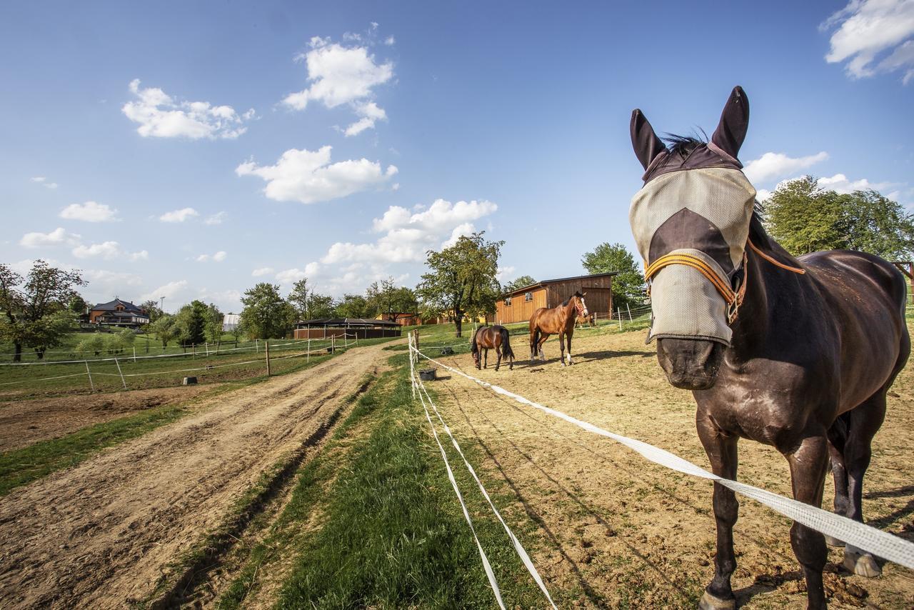 Hotel Horse Riding - Jezdecky Areal Trsice Exterior photo