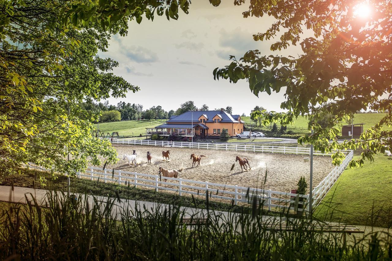 Hotel Horse Riding - Jezdecky Areal Trsice Exterior photo