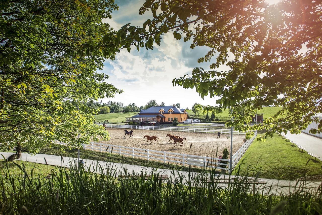 Hotel Horse Riding - Jezdecky Areal Trsice Exterior photo